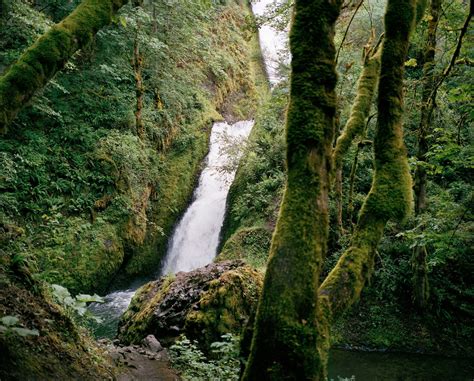 nude teen photos|Jocelyn Lee’s Painterly Portraits of Nudes Immersed in Nature